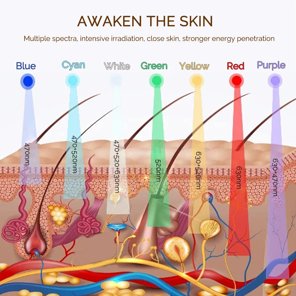 Rechargeable Facial LED Mask 7 Colors LED Photon Beauty Mask Skin Rejuvenation Home Face Lifting Whitening Skin Care Beauty Mask
